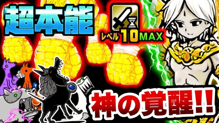 ついに超本能ガネーシャきたああ！全ての敵を粉砕してやんよ！！　3用編成　にゃんこ大戦争