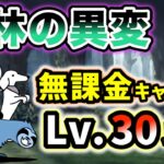 密林の異変　本能なし&無課金キャラのみ・レベル30以下で攻略【にゃんこ大戦争】