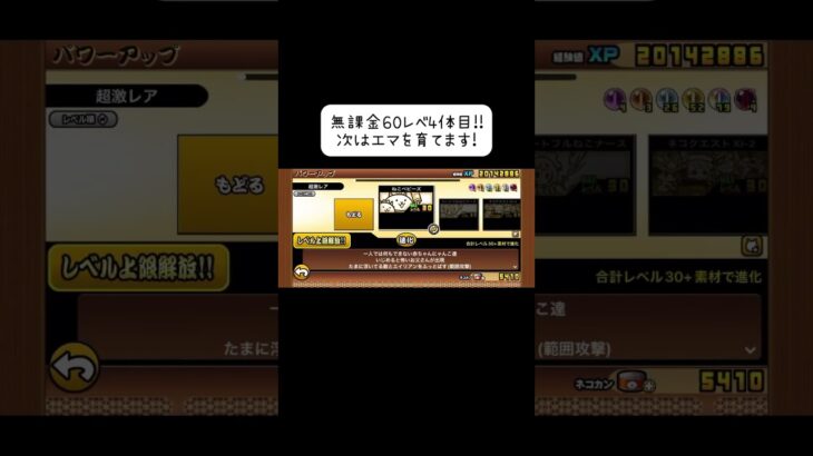 【にゃんこ大戦争】無課金で60レベ4体目です!#にゃんこ大戦争 #無課金勢