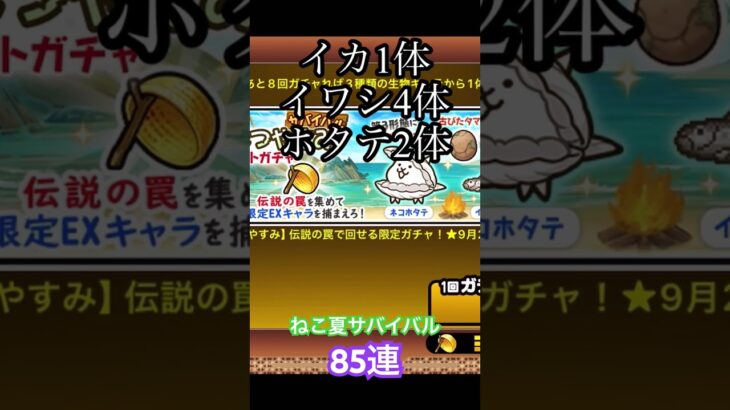 ねこの夏休みサバイバル85連してみた #にゃんこ大戦争