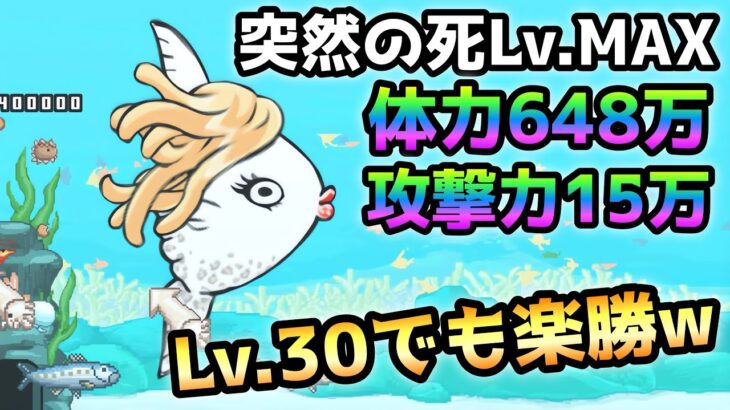 突然の死Lv.MAX  これが1番楽ちん！  Lv.30以下＆本能なし＆無課金編成で攻略　にゃんこ大戦争　ハマンボ崎あゆみ強襲！