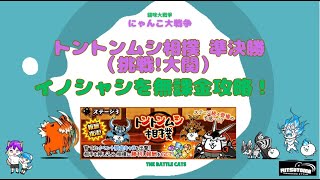 《にゃんこ大戦争-The battle cats》￥無課金勢￥ 　トントンムシ相撲 準決勝（挑戦!大関）240817　[貓咪大戰爭-냥코 대전쟁] 　＠りつとまチャンネル#にゃんこ大戦争