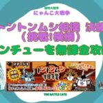 《にゃんこ大戦争-The battle cats》￥無課金勢￥ 　トントンムシ相撲 決勝（挑戦!横綱）240818　[貓咪大戰爭-냥코 대전쟁] 　＠りつとまチャンネル#にゃんこ大戦争