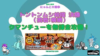 《にゃんこ大戦争-The battle cats》￥無課金勢￥ 　トントンムシ相撲 決勝（挑戦!横綱）240818　[貓咪大戰爭-냥코 대전쟁] 　＠りつとまチャンネル#にゃんこ大戦争