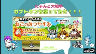 《にゃんこ大戦争-The battle cats》￥無課金勢￥【使ってみた】スペEX（カブトネコ）240729　[貓咪大戰爭-냥코 대전쟁]