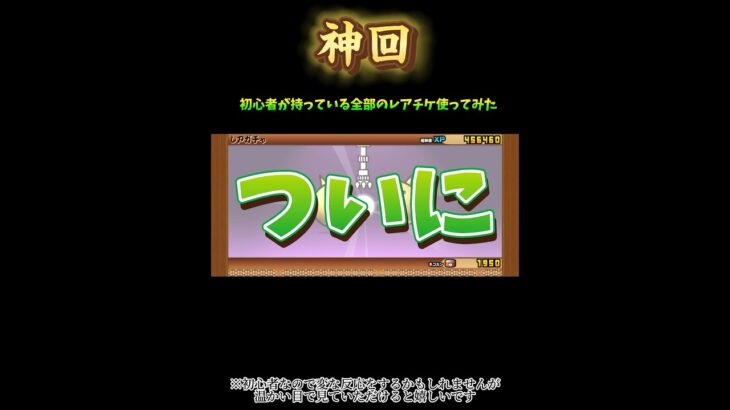 【にゃんこ大戦争】初心者が持っているレアチケ全部使ってみた【神回】#にゃんこ大戦争 #たっぴー