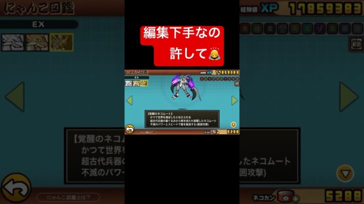 無課金最強キャラは誰だ！？　　【にゃんこ大戦争】【最強】