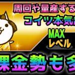 廃課金勢でも使いまくる「ネコ阿波踊り / ゴージャス」を紹介します　にゃんこ大戦争　ときめき夏祭り