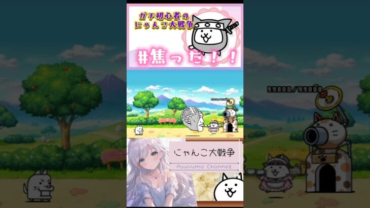 ガチ初心者【にゃんこ大戦争】カオルくんでルンルンでレアチケ集めしてたら、あれ？何の音？(⁠ ⁠≧⁠Д⁠≦⁠)‼‼#にゃんこ大戦争