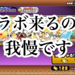 【にゃんこ大戦争】今来てる確定ガチャは引くな。コラボの為にネコ缶を取っておくのが、無難です