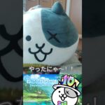 にゃんこウエハースを開ける動画