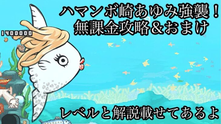 [生きろマンボウコラボ]ハマンボ崎あゆみ強襲！無課金攻略＆ウィンディ使って攻略！[にゃんこ大戦争]