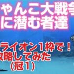 にゃんこ大戦争 源泉に潜む者達 大狂乱ライオンのみ