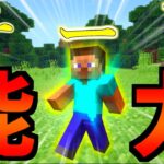 ３つのチート能力を使ってエンドラ討伐チャレンジをやてっみた！！　　マイクラ