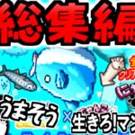 【にゃんこ大戦争】ねこのなつやすみ  生きろ!マンボウコラボ 総集編【ゆっくり実況】【無課金】