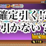 【にゃんこ大戦争】今来てるサマーガールズとエレメンタルピクシーズ確定ガチャは引くべきか、考えて見ました