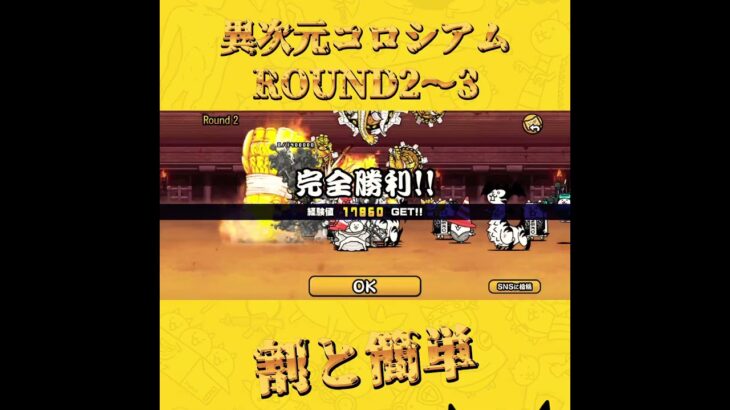 【にゃんこ大戦争 116日目】異次元コロシアム ROUND2〜3 #にゃんこ大戦争