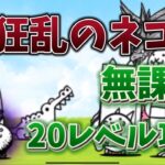 【にゃんこ大戦争】狂乱のネコ降臨　無課金20レベル攻略