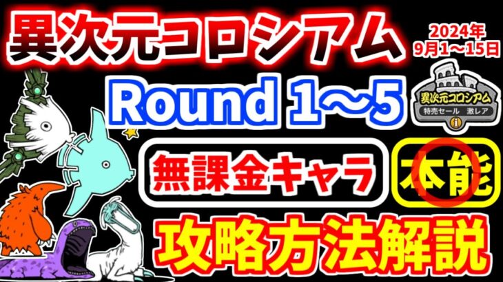 【にゃんこ大戦争】異次元コロシアム 2024年9月1日～15日開催 特売セール激レア（Round1～5）を無課金キャラで攻略！【The Battle Cats】