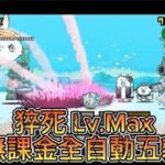 貓戰閒聊時間#77 猝死 Lv.Max 無課金全自動五貓 #貓咪大戰爭 #にゃんこ大戦争 #thebattlecats