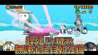 貓戰閒聊時間#77 猝死 Lv.Max 無課金全自動五貓 #貓咪大戰爭 #にゃんこ大戦争 #thebattlecats