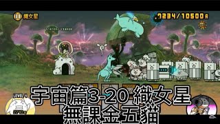 貓戰閒聊時間#95 宇宙篇3-20 織女星 無課金五貓 #貓咪大戰爭 #にゃんこ大戦争 #thebattlecats