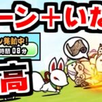 【にゃんこ大戦争】ガマトト、遂にゾーン発動！いなりと組み合わせたらキャッツアイのゲット数が凄かったｗｗｗ【本垢実況Re#1970】