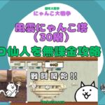 《にゃんこ大戦争-The battle cats》￥無課金勢￥ 風雲にゃんこ塔 30階240710  [貓咪大戰爭-냥코 대전쟁] ＠りつとまチャンネル