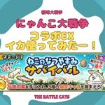 《にゃんこ大戦争-The battle cats》￥無課金勢￥ 【使ってみた】スペEX（イカ）240821　[貓咪大戰爭-냥코 대전쟁] 　＠りつとまチャンネル#にゃんこ大戦争