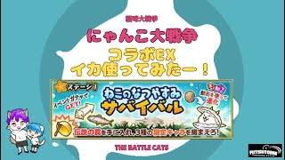 《にゃんこ大戦争-The battle cats》￥無課金勢￥ 【使ってみた】スペEX（イカ）240821　[貓咪大戰爭-냥코 대전쟁] 　＠りつとまチャンネル#にゃんこ大戦争