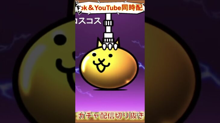 【にゃんこ大戦争】＃２０３　ビックリマンコラボガチャ神引き！ヘラクライスト！！YouTube&TikTok同時配信してるよー！【ソシャゲ配信】＃shorts