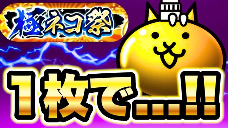 え！？？？？？？？？？　※コメントでみんなの結果を教えてください　にゃんこ大戦争