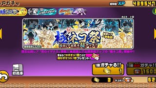 極ネコ祭で神引き！？&大狂乱のネコ島が難しすぎる件【にゃんこ大戦争】