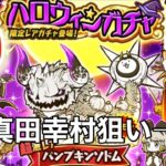 【にゃんこ大戦争】ハロウィンガチャ10連真田幸村狙いで引いたら…