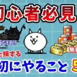 【にゃんこ大戦争】知らないと損する！必ず最初にやっておきたい事5選【初心者必見】