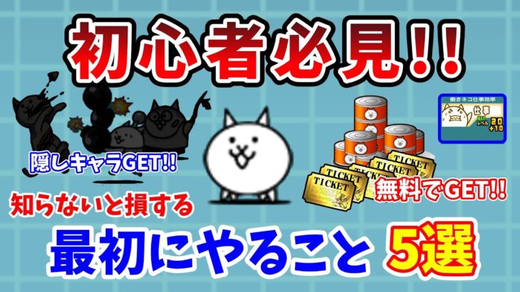 【にゃんこ大戦争】知らないと損する！必ず最初にやっておきたい事5選【初心者必見】