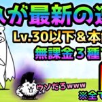 大狂乱のネコ  これが最新の超簡単な攻略法！ 全キャラLv.30以下＆無課金３種で速攻！にゃんこ大戦争　デスモヒカン