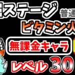 【にゃんこ大戦争】ビタミン火山 溶岩湖（発掘ステージ 普通の地図）を本能なし低レベル無課金キャラで攻略！【The Battle Cats】