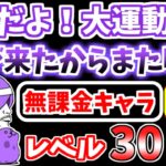 【にゃんこ大戦争】夜だよ！大運動会（朝が来たからまた明日）を本能なし低レベル無課金キャラで攻略！【The Battle Cats】