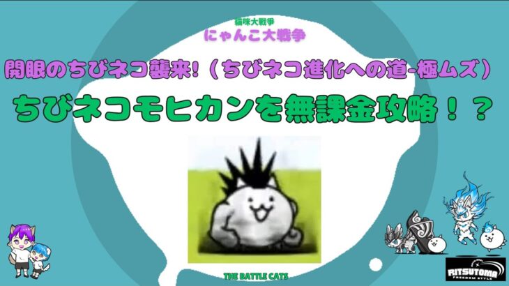 《にゃんこ大戦争-The battle cats》￥無課金勢￥　開眼のちびネコ襲来!（ちびネコ進化への道 極ムズ）240802　＠りつとまチャンネル　#냥코 대전쟁#貓咪大戰爭