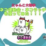 《にゃんこ大戦争-The battle cats》￥無課金勢￥【使ってみた】スペレア（ネコ運動会）241002　[貓咪大戰爭-냥코 대전쟁] 　＠りつとまチャンネル#にゃんこ大戦争