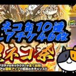 ひたすら回すだけの超ネコ祭５６連ガチャ！伝説レア〜【にゃんこ大戦争】