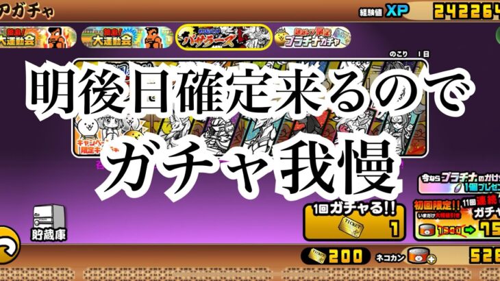 【にゃんこ大戦争】明後日確定来ると思うので、我慢。今来てるバサラーズについて考えて見た