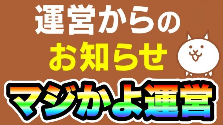 コレどういうことだよ…　にゃんこ大戦争