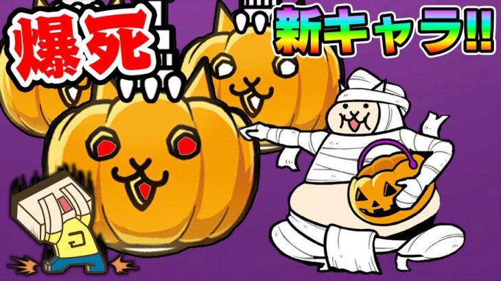 【にゃんこ大戦争】ヘンな新キャラに〇万円課金した結果ｗ