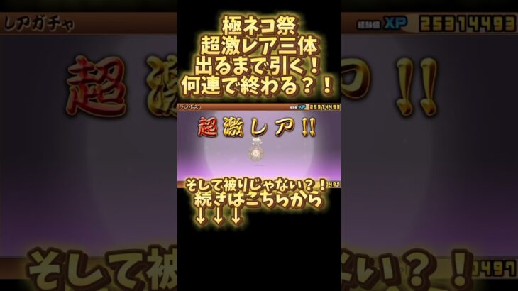 にゃんこ大戦争　極ネコ祭超激レア三体出るまで終われない！！