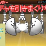 ガチャ連発！にゃんこ大戦争でとにかく引きまくる！何が出るかお楽しみに！