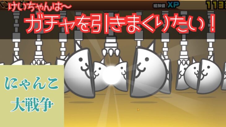 ガチャ連発！にゃんこ大戦争でとにかく引きまくる！何が出るかお楽しみに！