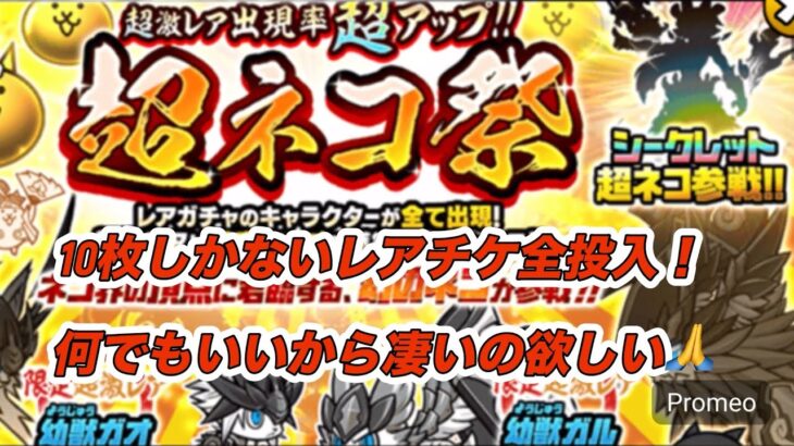 【にゃんこ大戦争】ガチャ運最弱だけど10枚しか持ってないレアチケに賭ける！