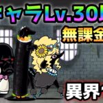 異界にゃんこ塔 13階  これで楽勝！全キャラLv.30以下＆無課金攻略　にゃんこ大戦争